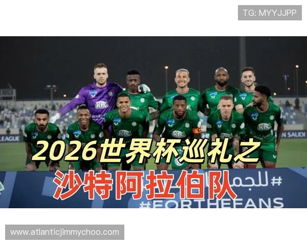 2026年世界杯西班牙对阵沙特阿拉伯比赛进球数预测分析与专家观点